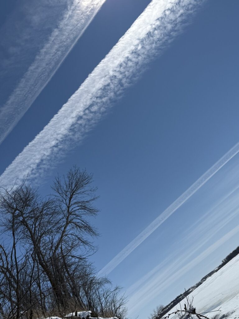 March 30, 2025 - Jet Trail and Trees