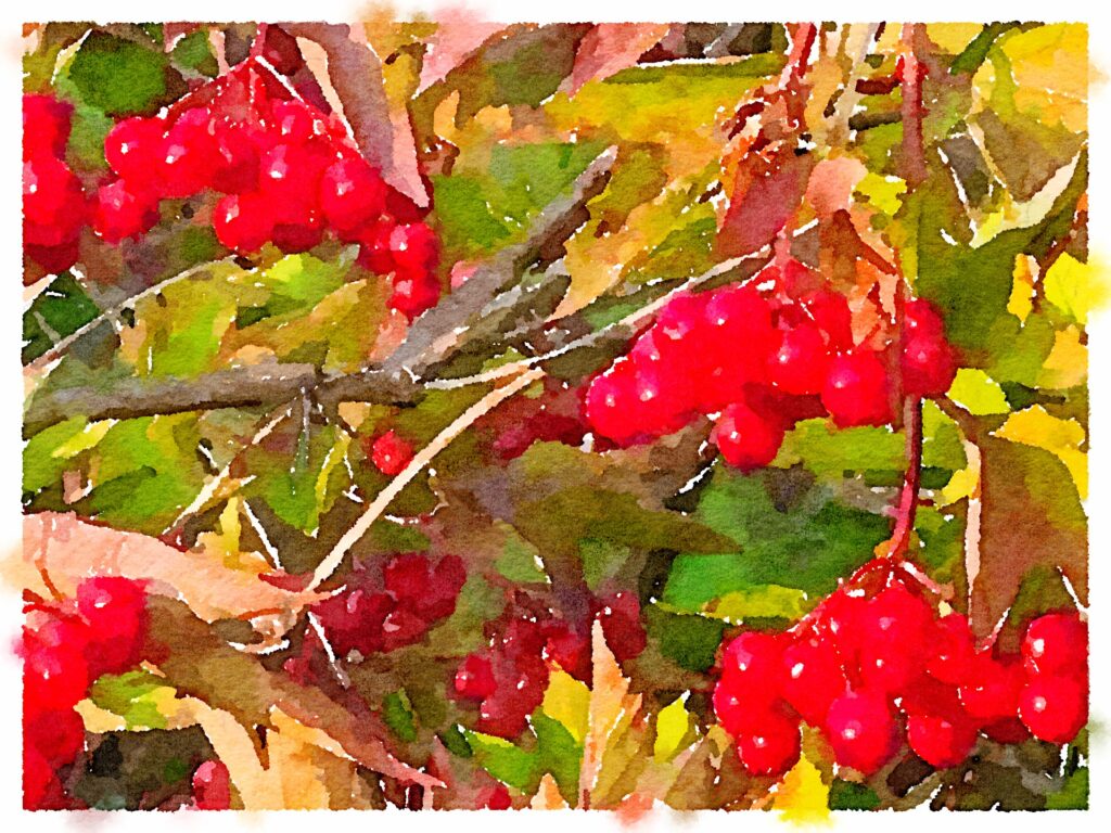 Watercolor-2025-04-11