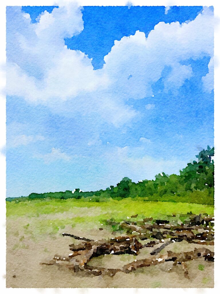 South Saskatchewan - Summer Beach