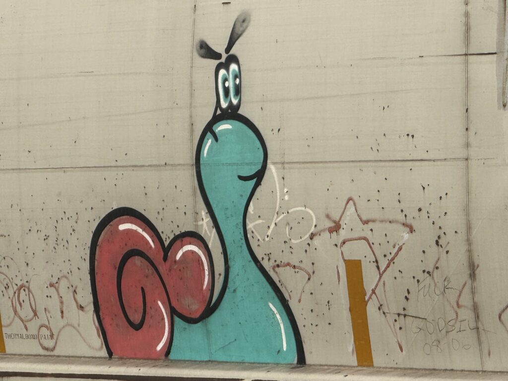 Railcar Graffiti-11