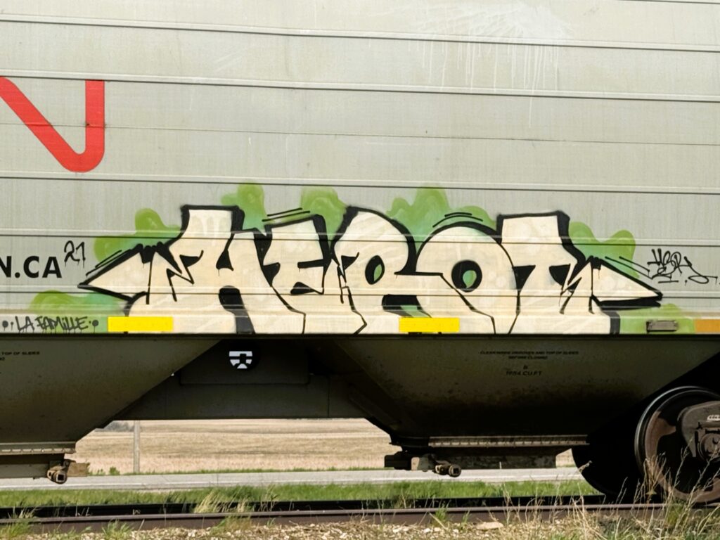 Railcar Graffiti-16