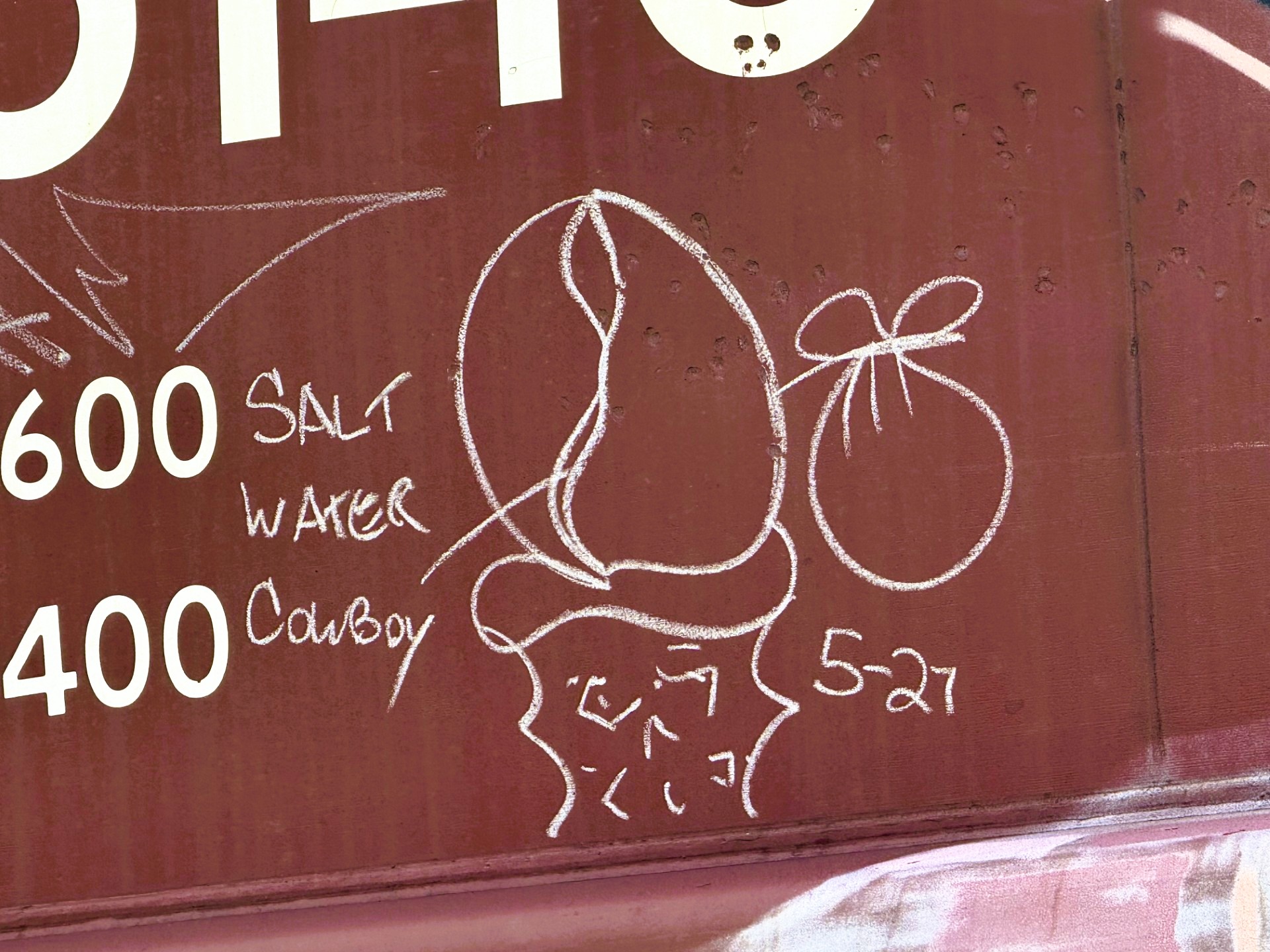 Railcar Graffiti-22