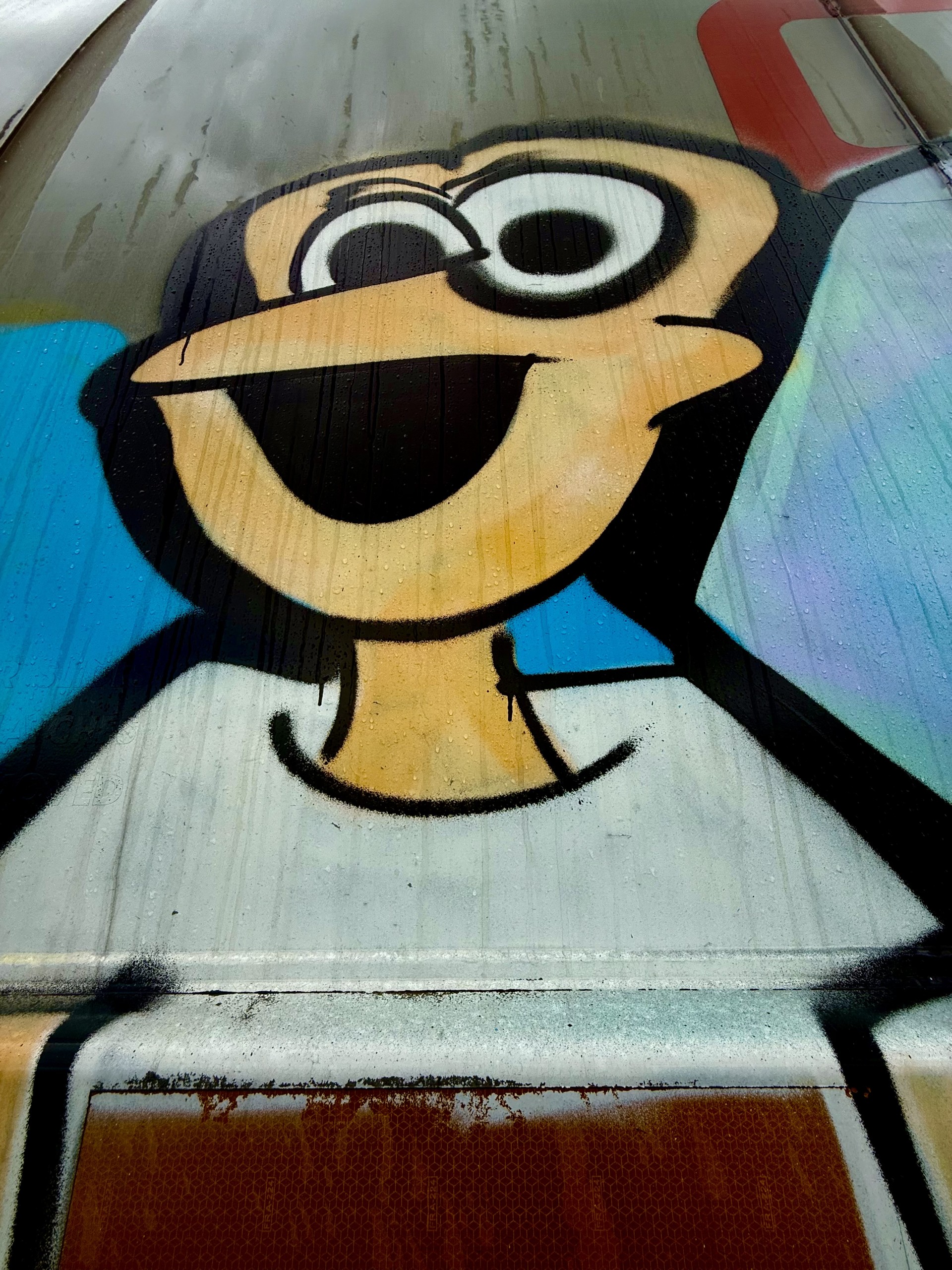 Railcar Graffiti-21
