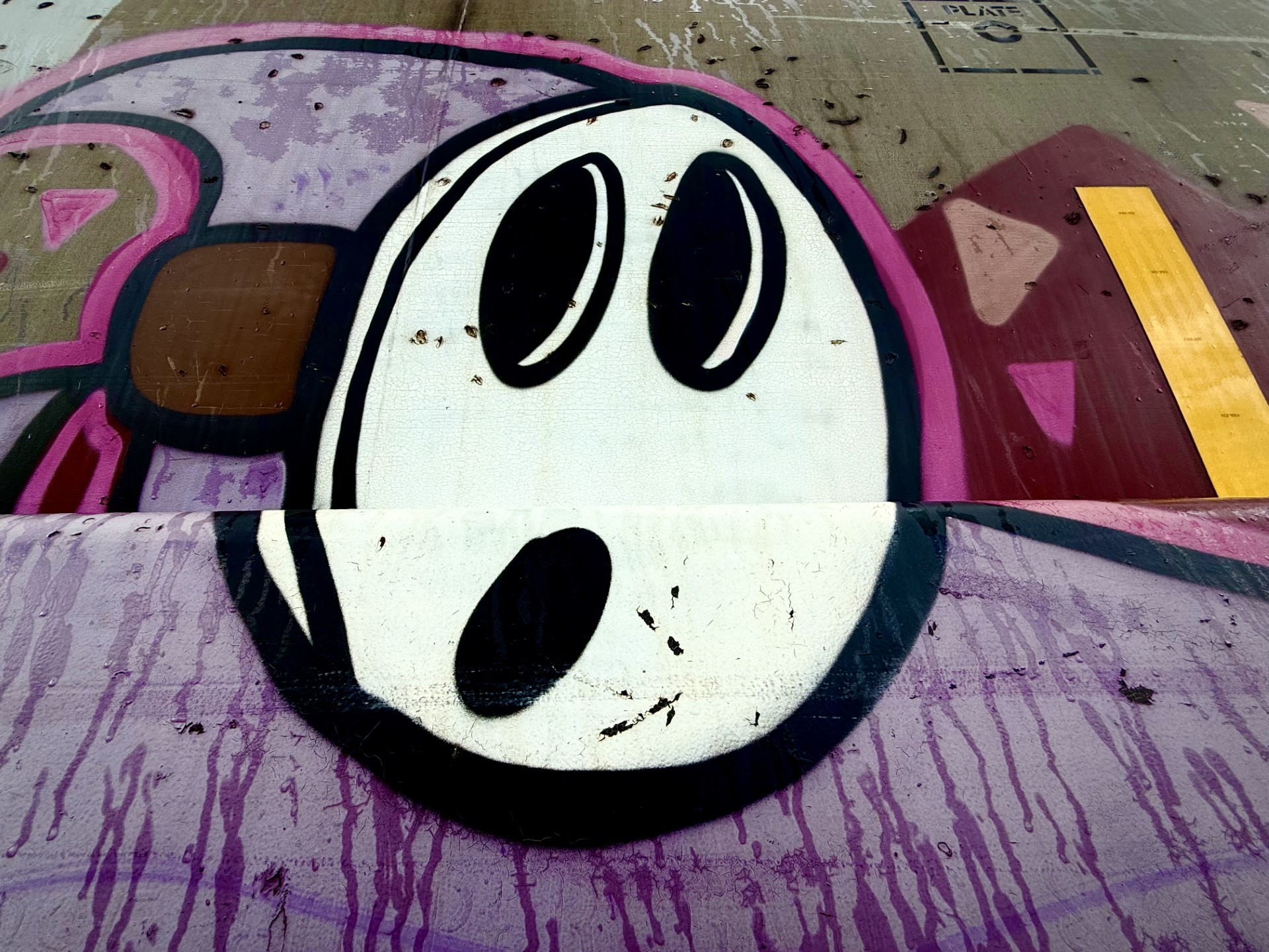Railcar Graffiti-21