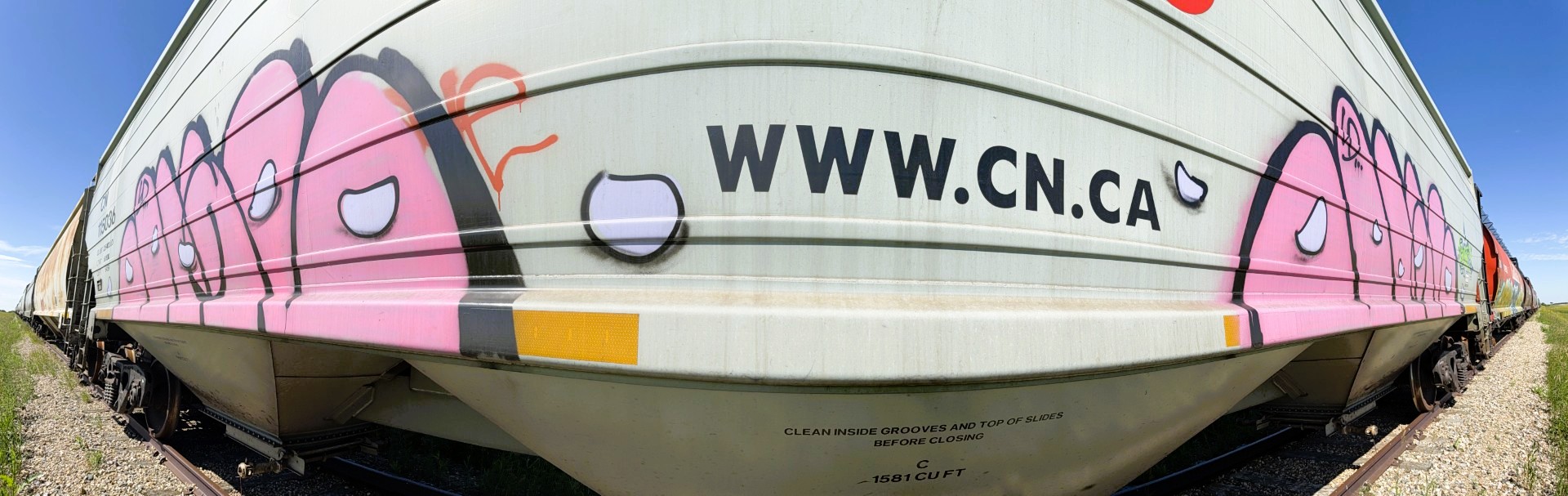 Panoramic Railcar Graffiti near Watrous, SK July 26, 2025