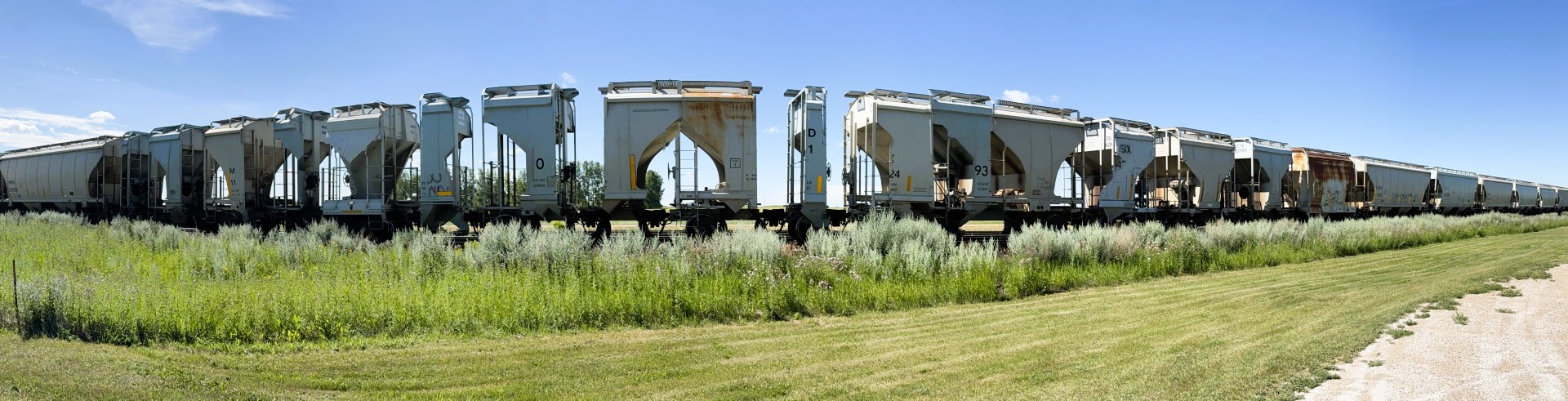 Panoramic Railcar Graffiti near Watrous, SK July 26, 2025